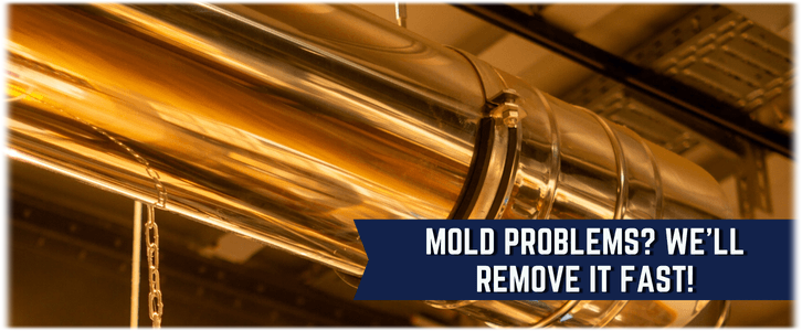 Air Duct Mold Removal in East Brunswick NJ